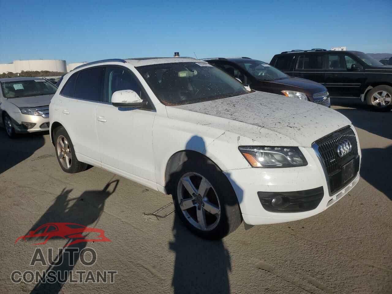 AUDI Q5 2010 - WA1LKAFP0AA022748