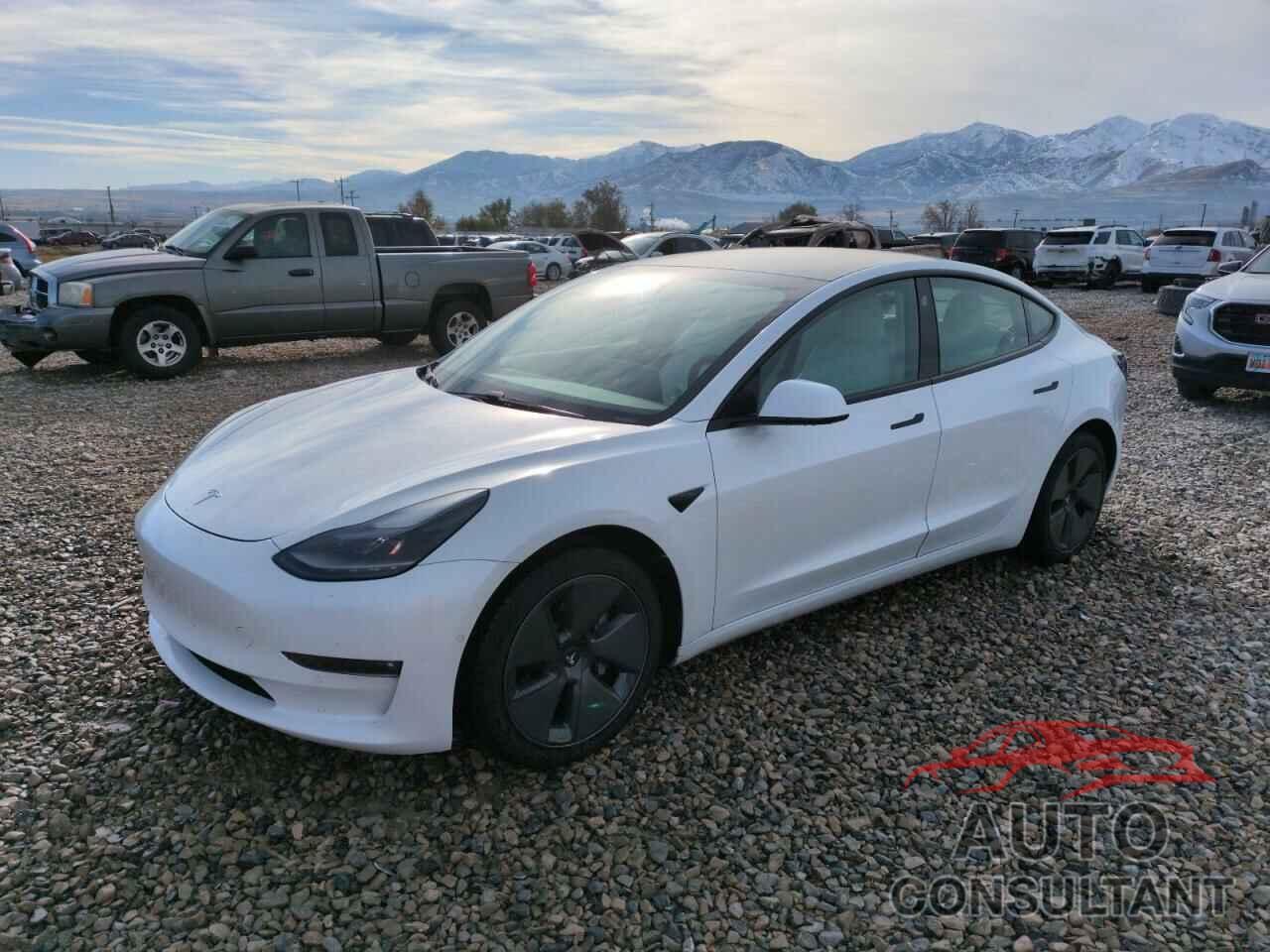 TESLA MODEL 3 2021 - 5YJ3E1EB9MF876071