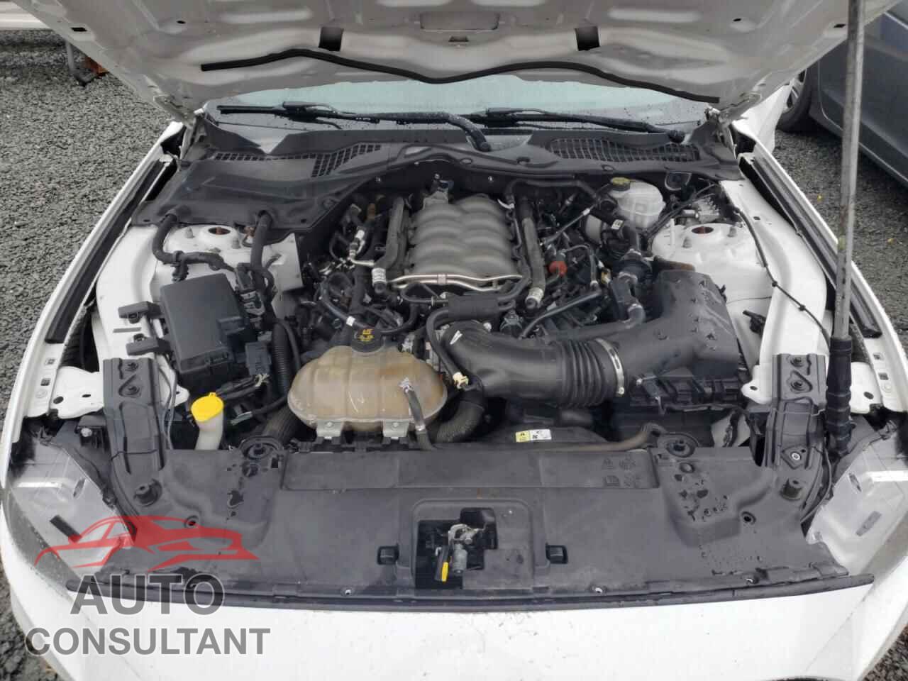 FORD MUSTANG 2018 - 1FA6P8CF5J5122416