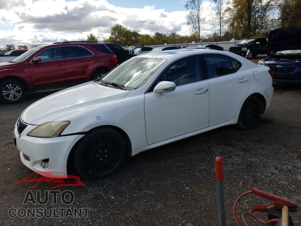 LEXUS IS 2009 - JTHBK262492094052