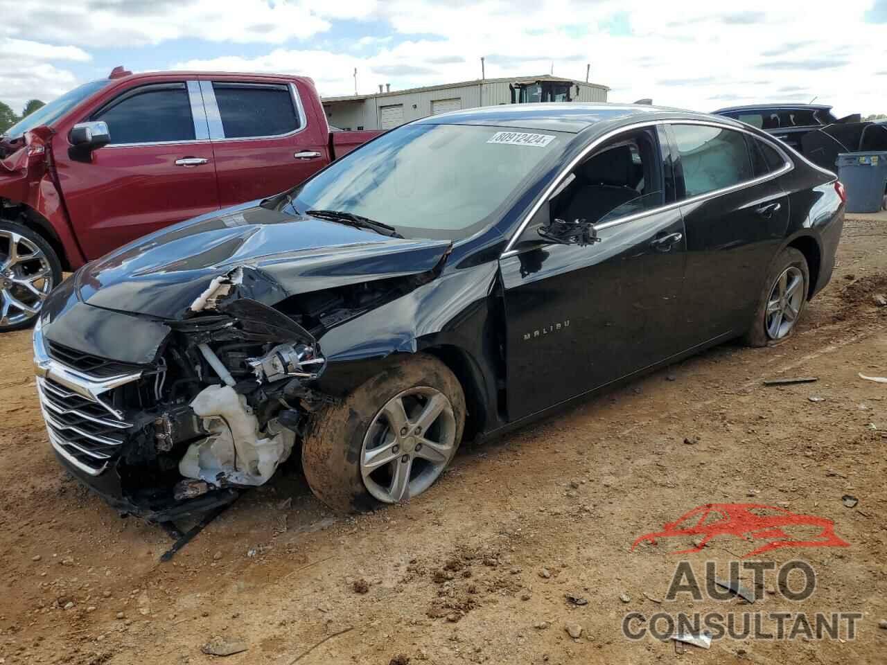 CHEVROLET MALIBU 2019 - 1G1ZB5ST8KF204138