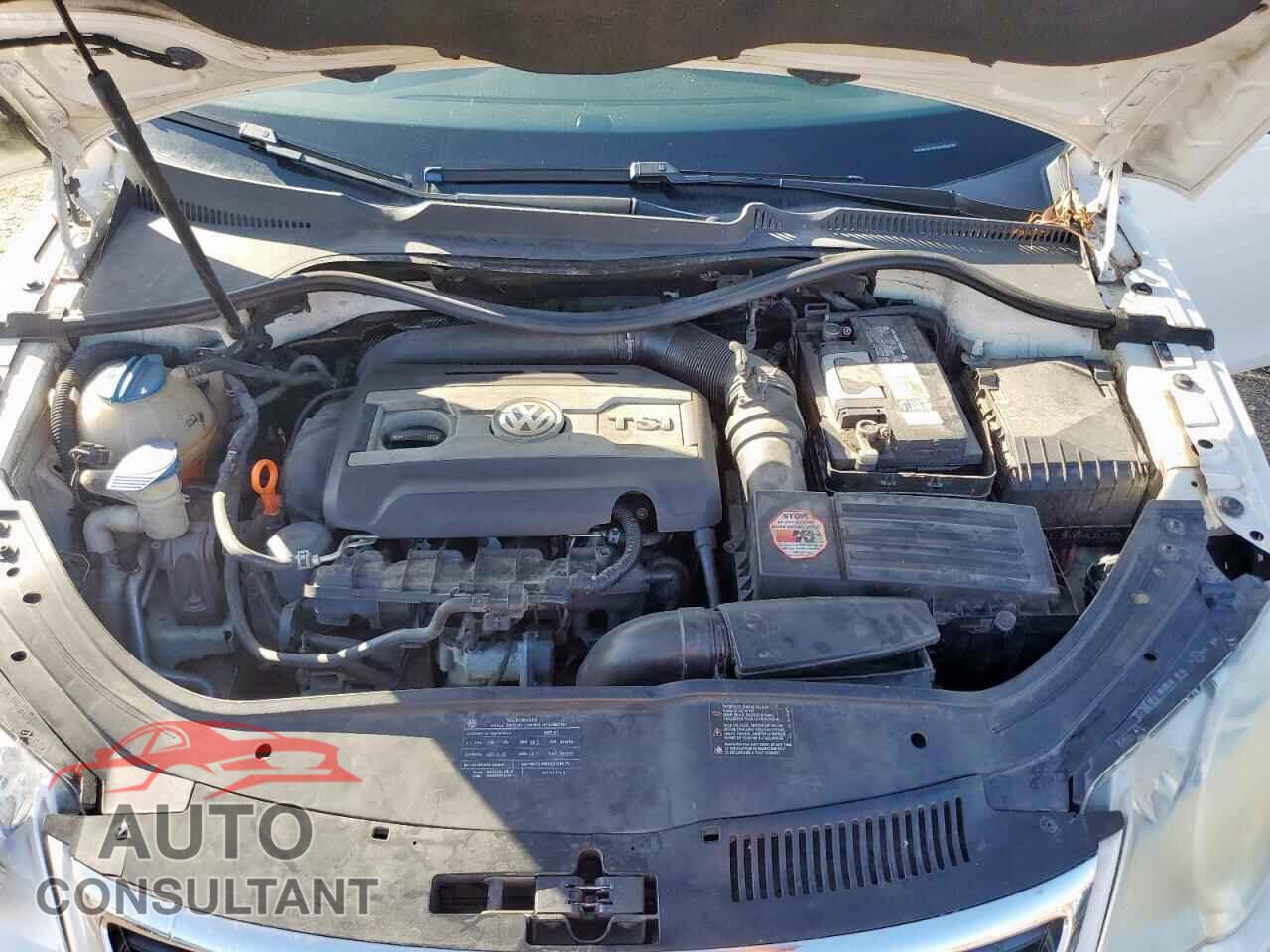 VOLKSWAGEN EOS 2009 - WVWFA71F19V002729