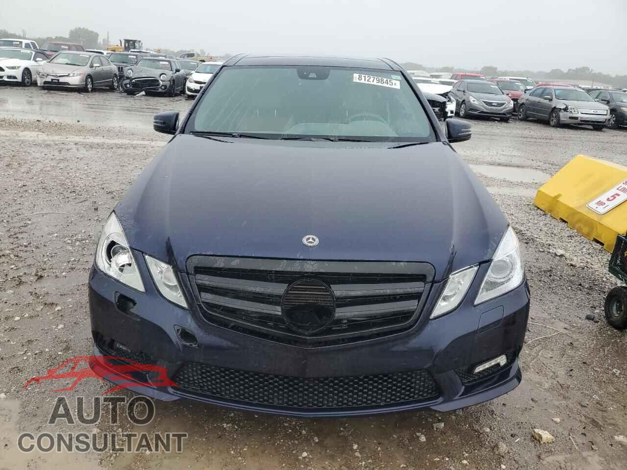MERCEDES-BENZ E-CLASS 2010 - WDDHF9AB4AA222015