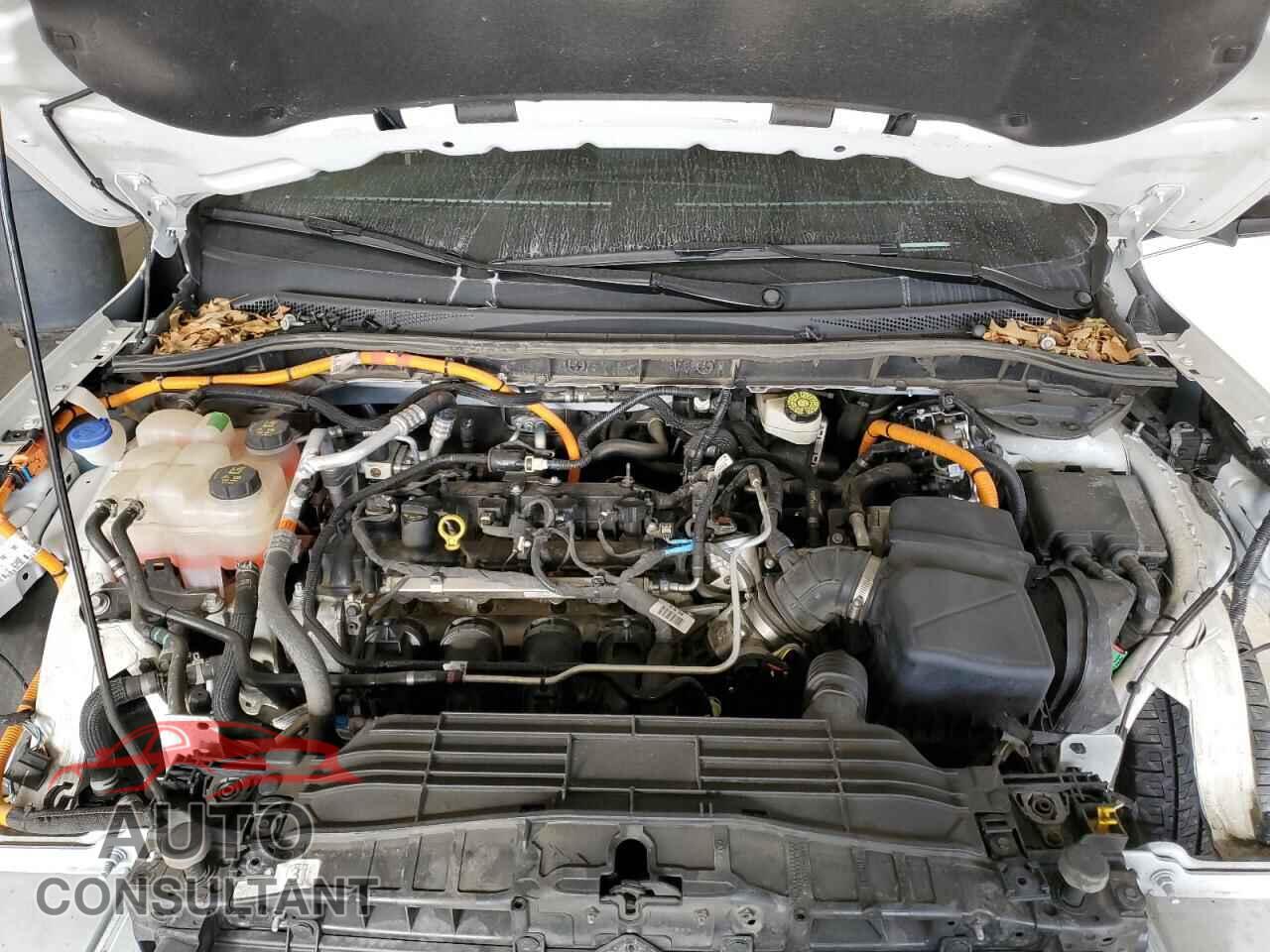 FORD ESCAPE 2020 - 1FMCU9BZ2LUA62512
