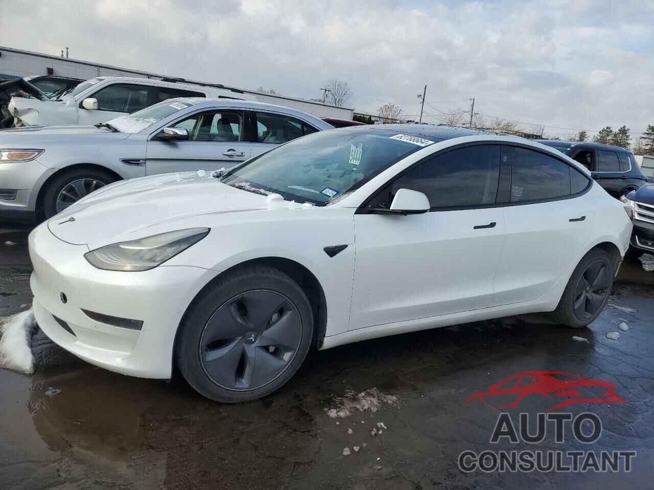 TESLA MODEL 3 2019 - 5YJ3E1EA8KF466897