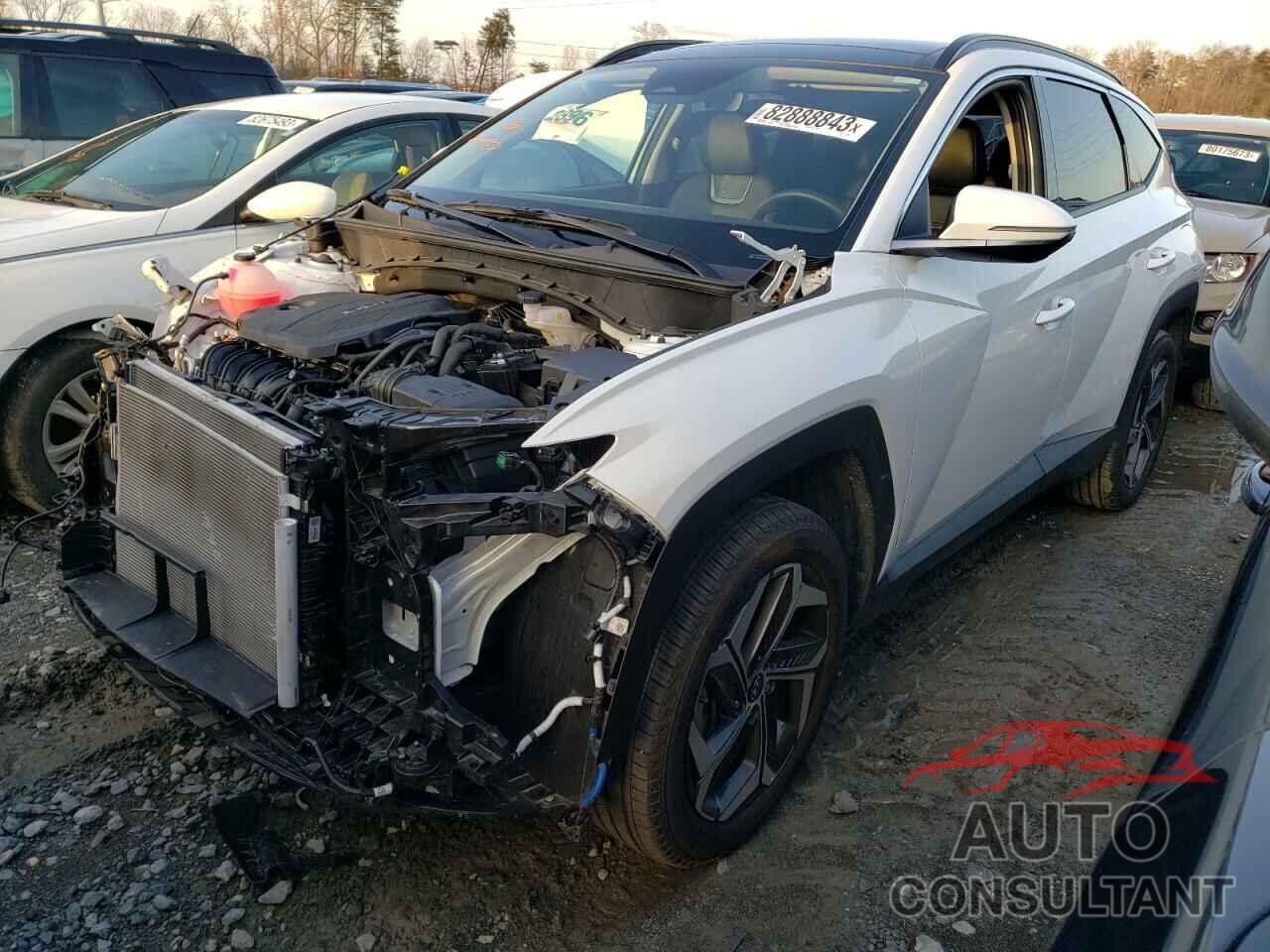 HYUNDAI TUCSON 2022 - 5NMJECAE9NH113566