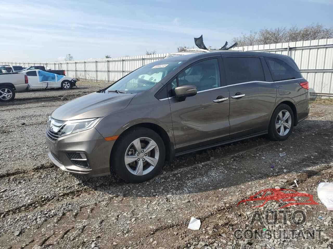 HONDA All Models 2019 - 5FNRL6H50KB015751