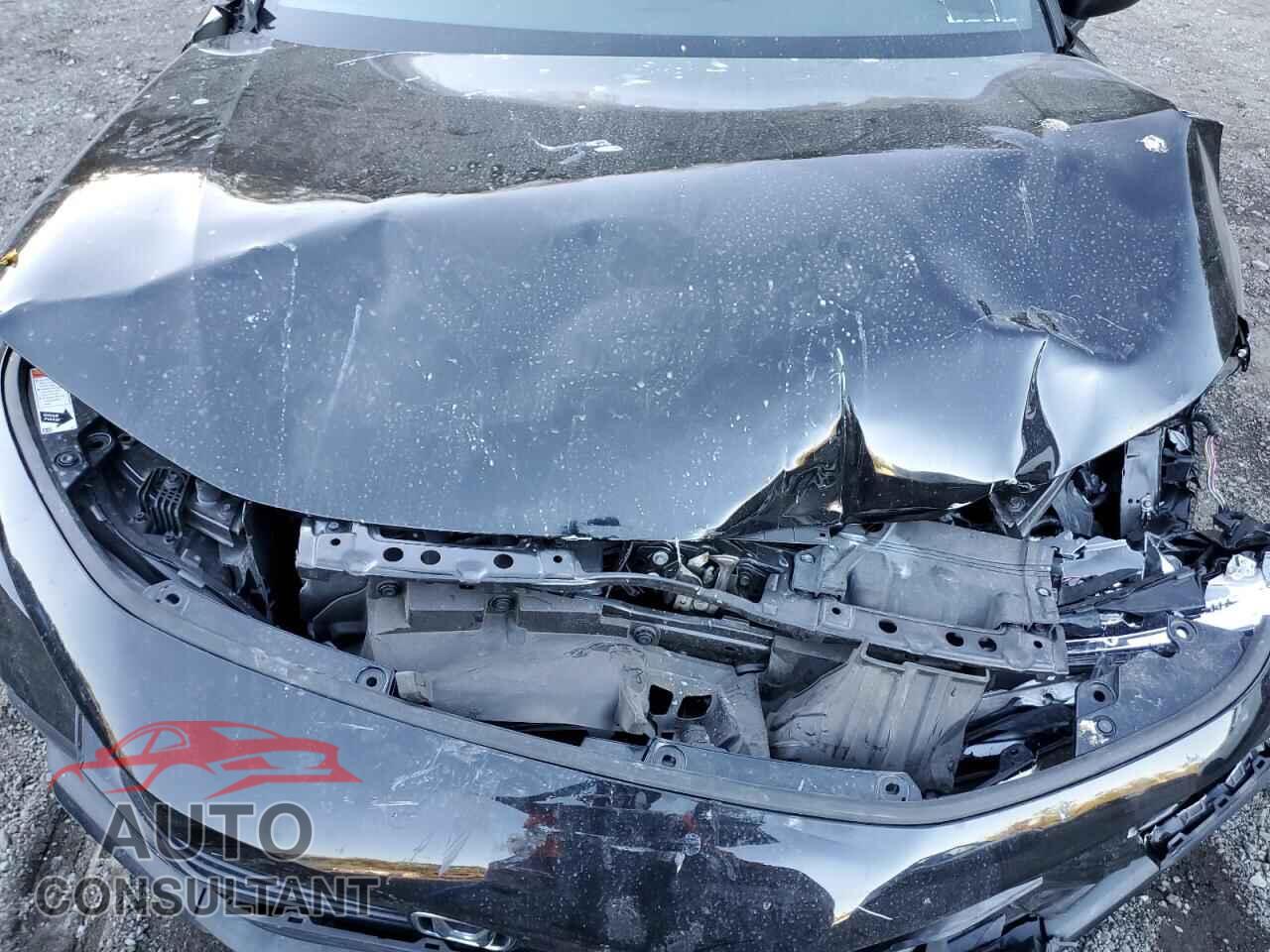 HONDA CIVIC 2023 - 2HGFE2F50PH552261
