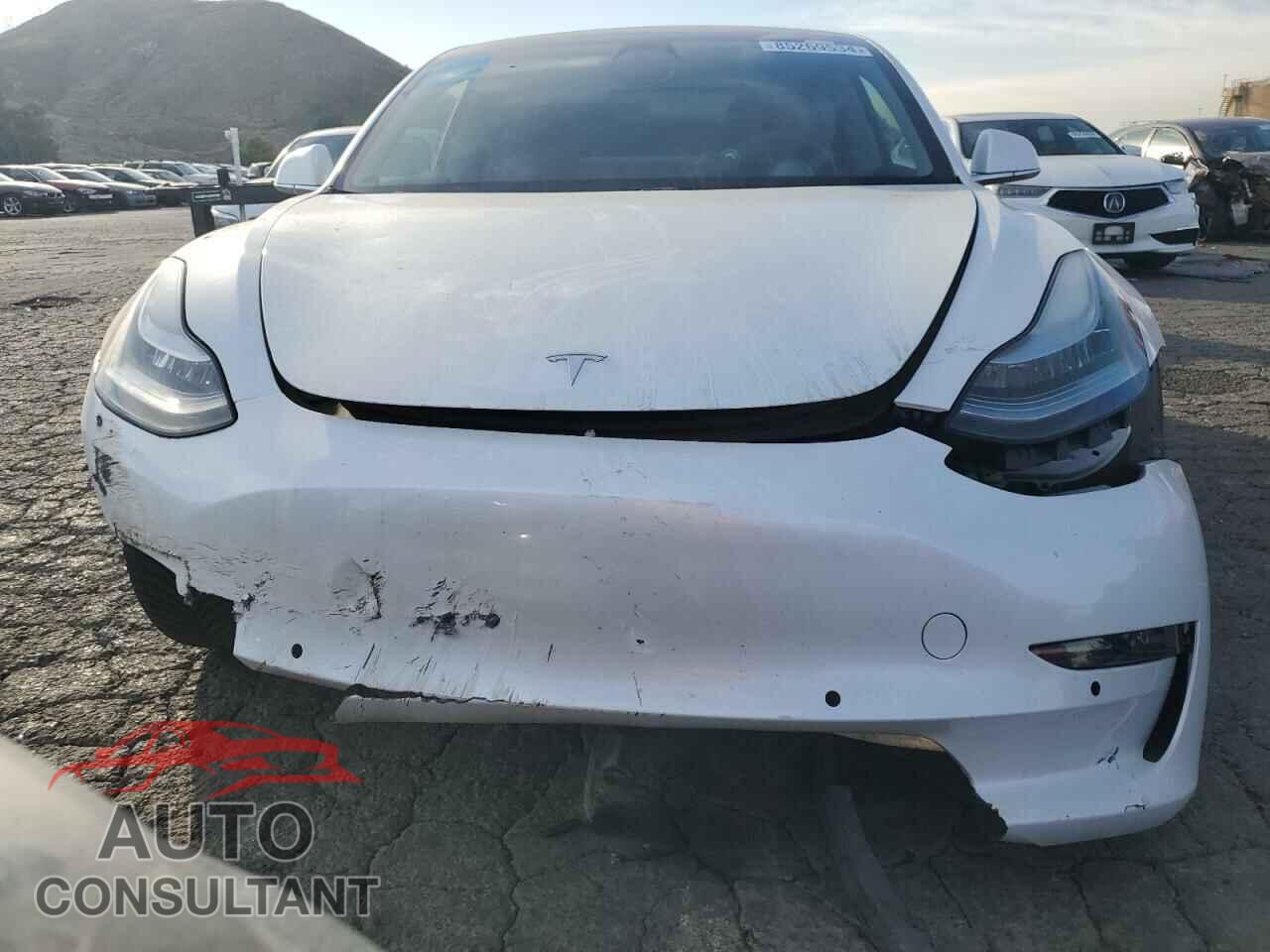 TESLA MODEL 3 2019 - 5YJ3E1EA7KF427377