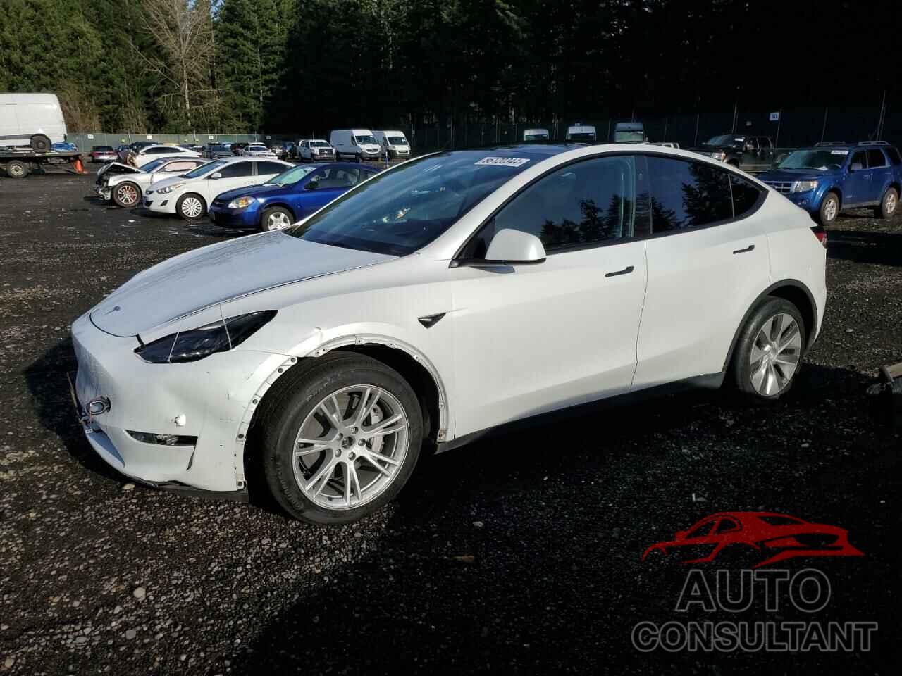 TESLA MODEL Y 2023 - 7SAYGDEE6PF796908