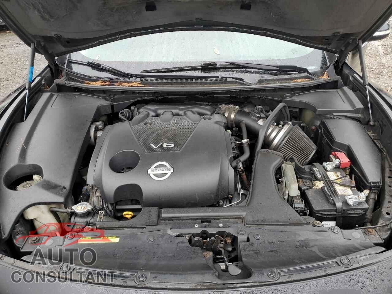 NISSAN MAXIMA 2009 - 1N4AA51EX9C861597