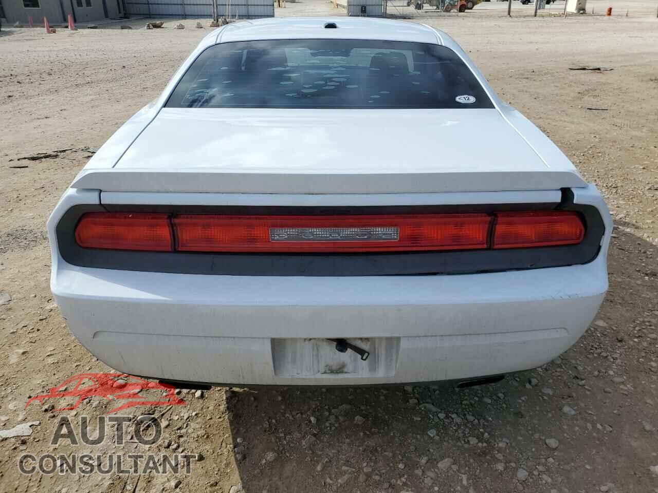 DODGE CHALLENGER 2013 - 2C3CDYBT7DH699916