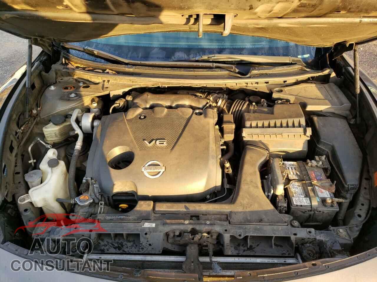 NISSAN MAXIMA 2013 - 1N4AA5AP1DC800908