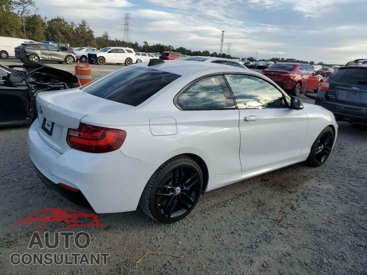 BMW 2 SERIES 2017 - WBA2F9C53HV664503