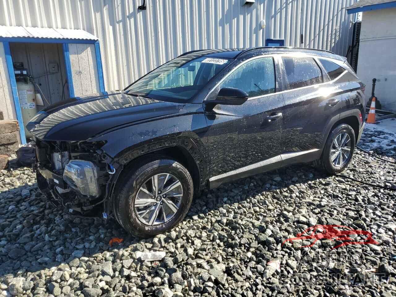 HYUNDAI TUCSON 2024 - KM8JBCD1XRU212408