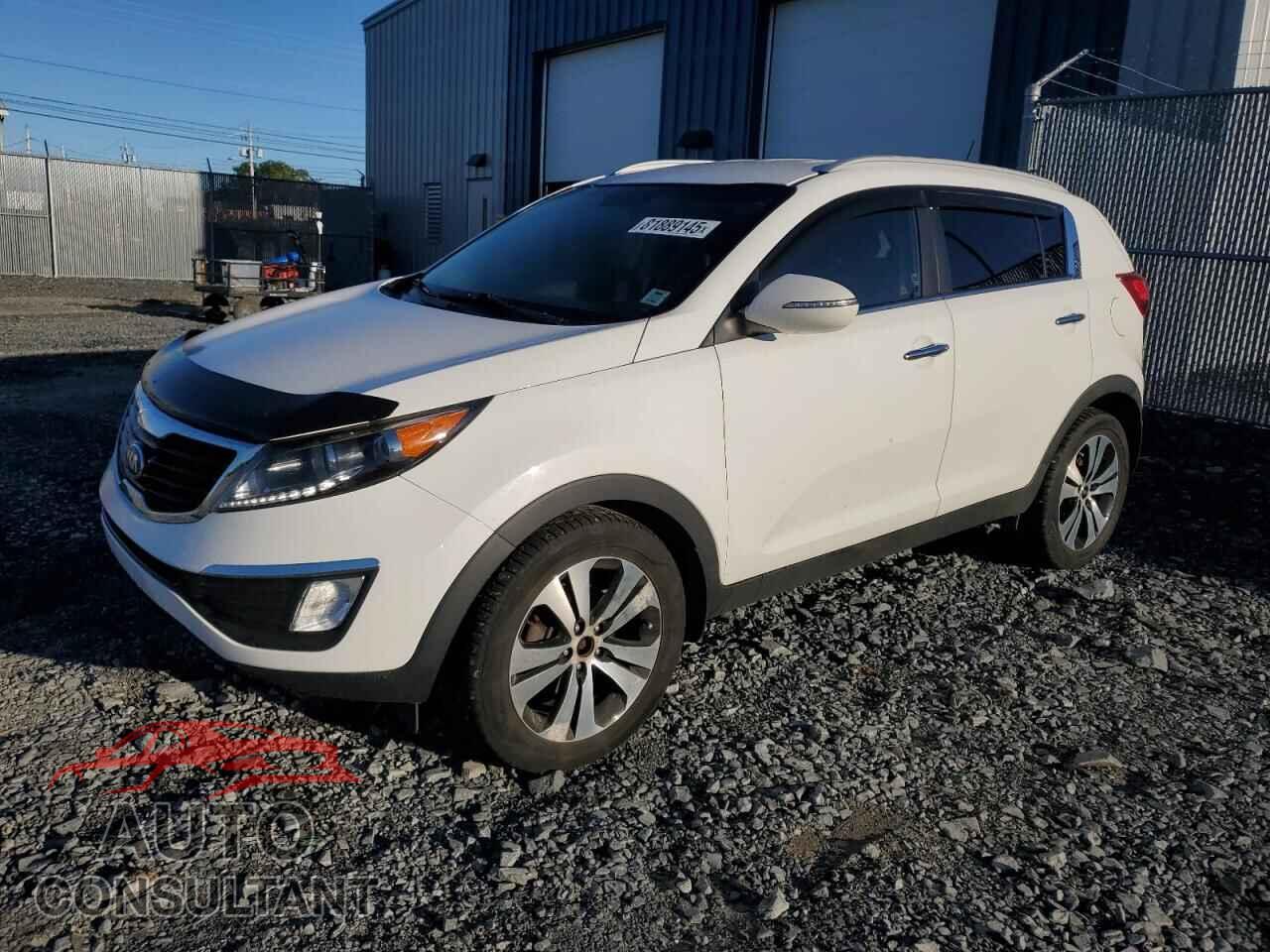 KIA SPORTAGE 2013 - KNDPC3A26D7546659