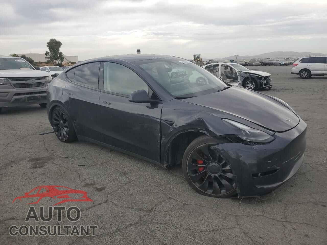 TESLA MODEL Y 2024 - 7SAYGDEF4RF027593