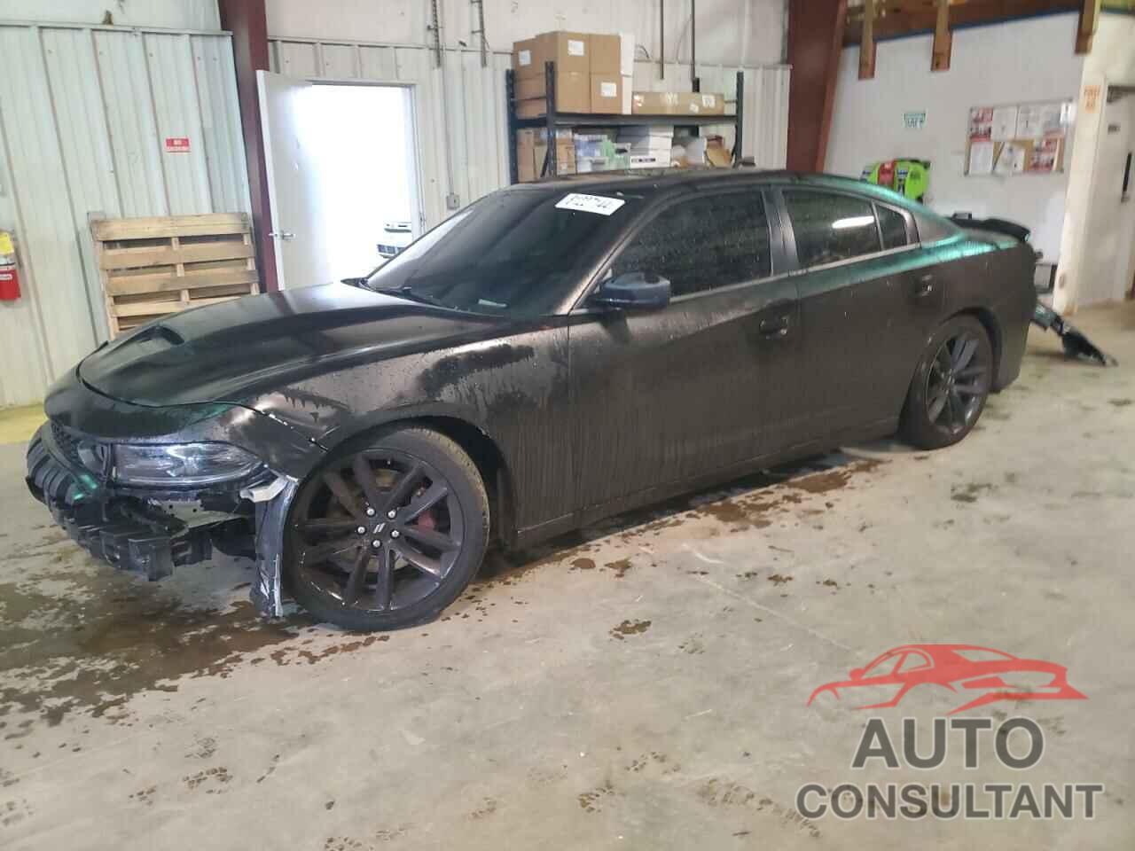 DODGE CHARGER 2019 - 2C3CDXGJ4KH562303