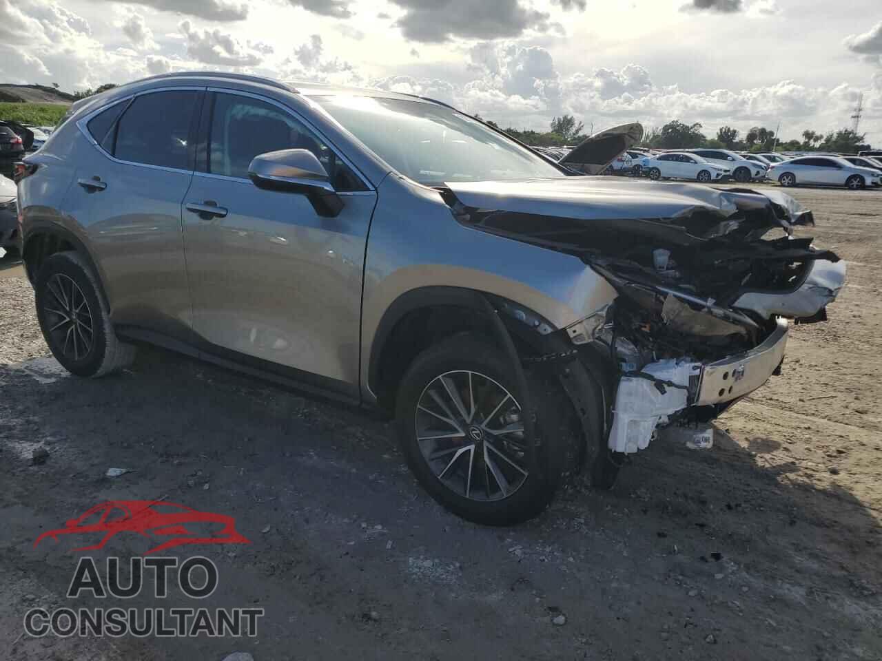 LEXUS NX 250 BAS 2025 - 2T2ADCAZ2SC020133