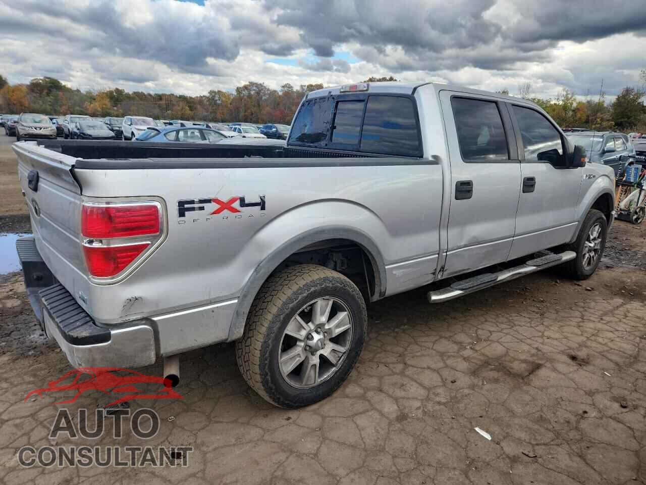 FORD F150 2010 - 1FTFW1EV2AFB03695