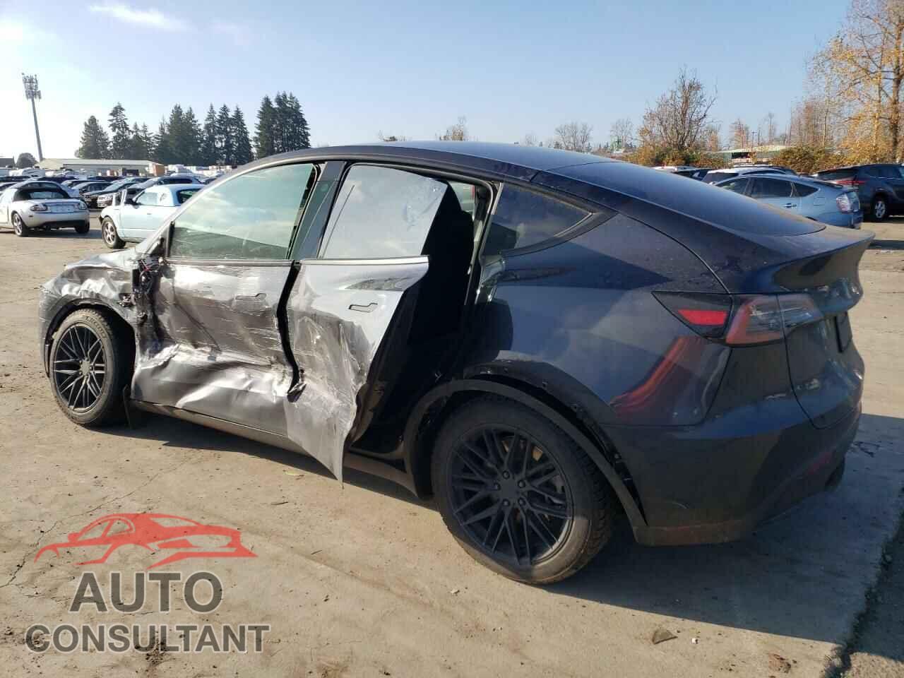 TESLA MODEL Y 2024 - 7SAYGDEE6RF151288