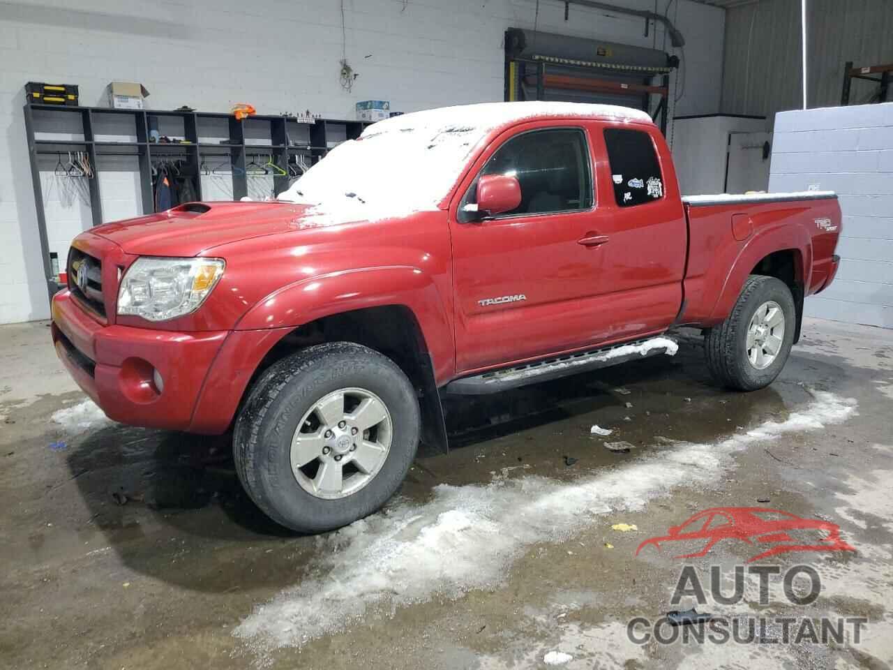 TOYOTA TACOMA 2010 - 5TEUU4EN7AZ717398