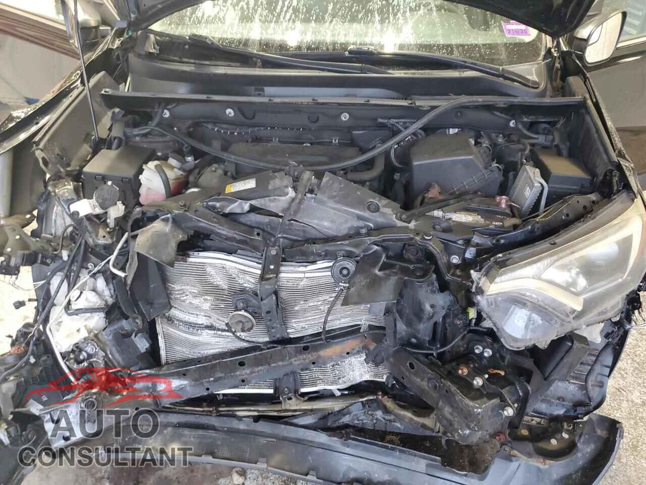 TOYOTA RAV4 2016 - 2T3BFREV0GW525923