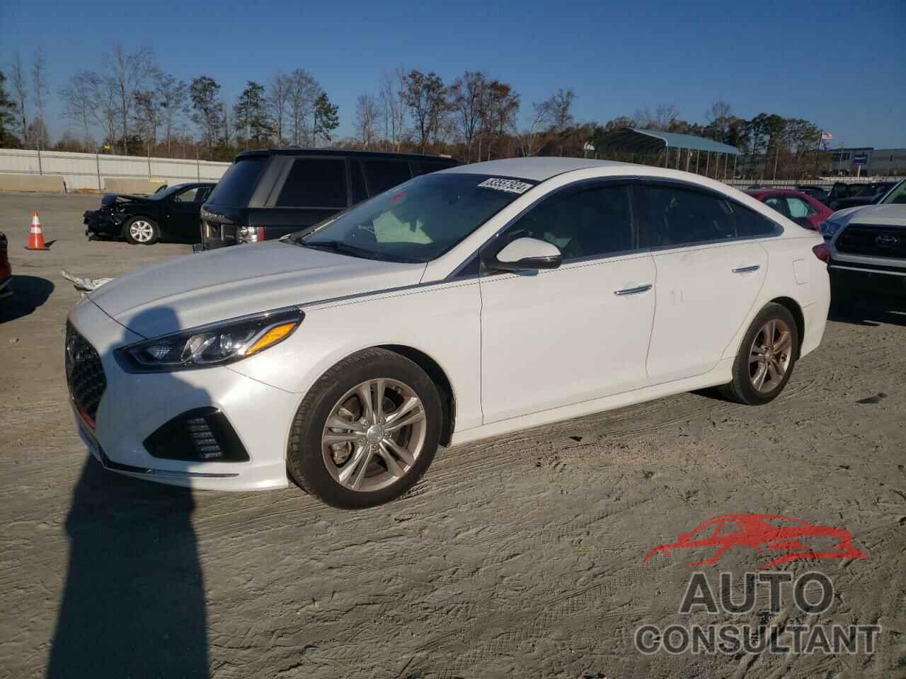 HYUNDAI SONATA 2019 - 5NPE34AF9KH764877