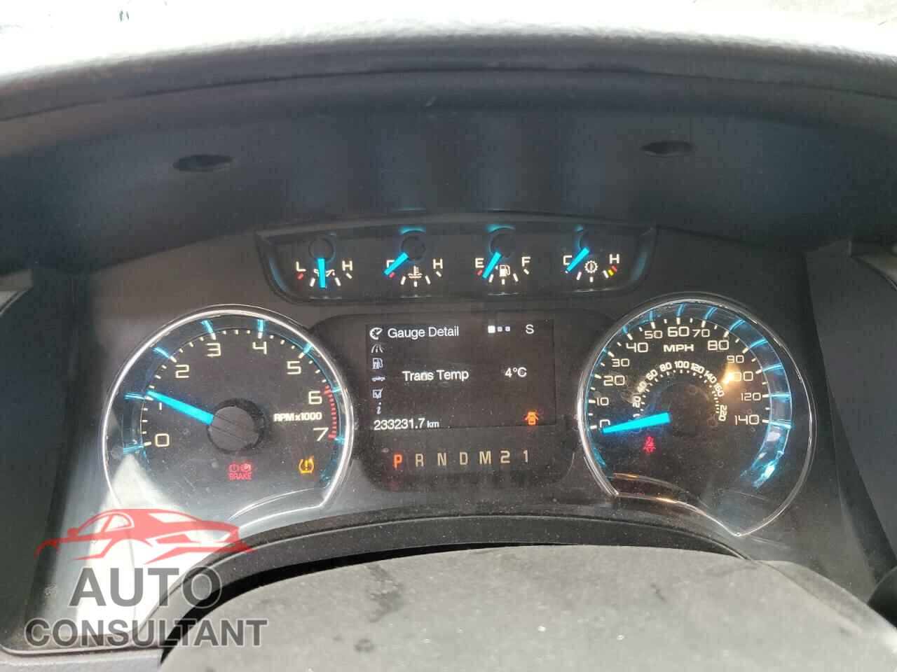 FORD F-150 2013 - 1FTFW1EF8DFD12131