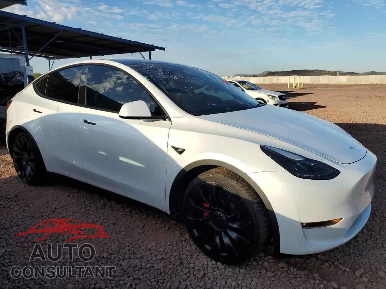 TESLA MODEL Y 2024 - 7SAYGDEF8RF050312