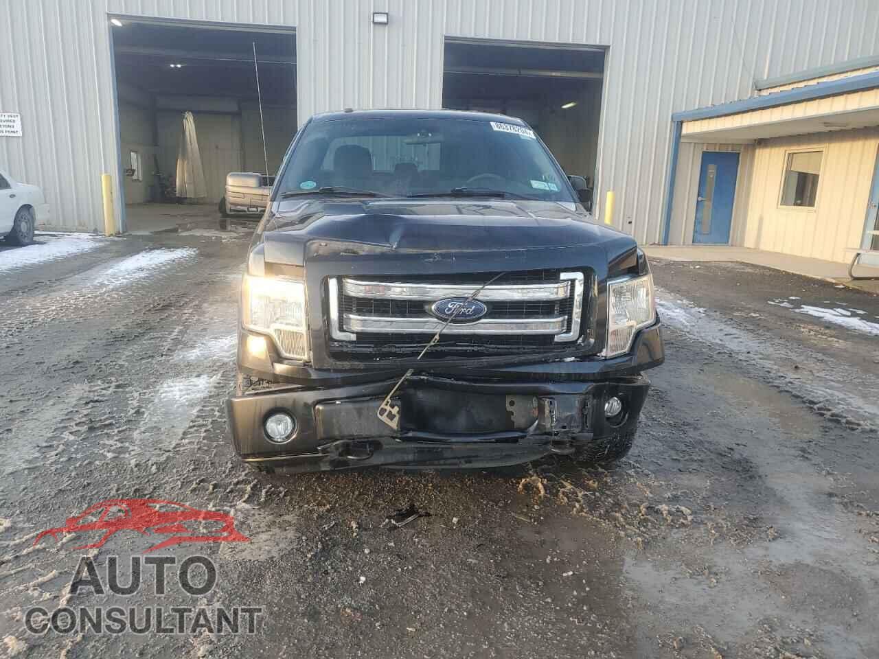 FORD F-150 2013 - 1FTFX1EF2DFC61013
