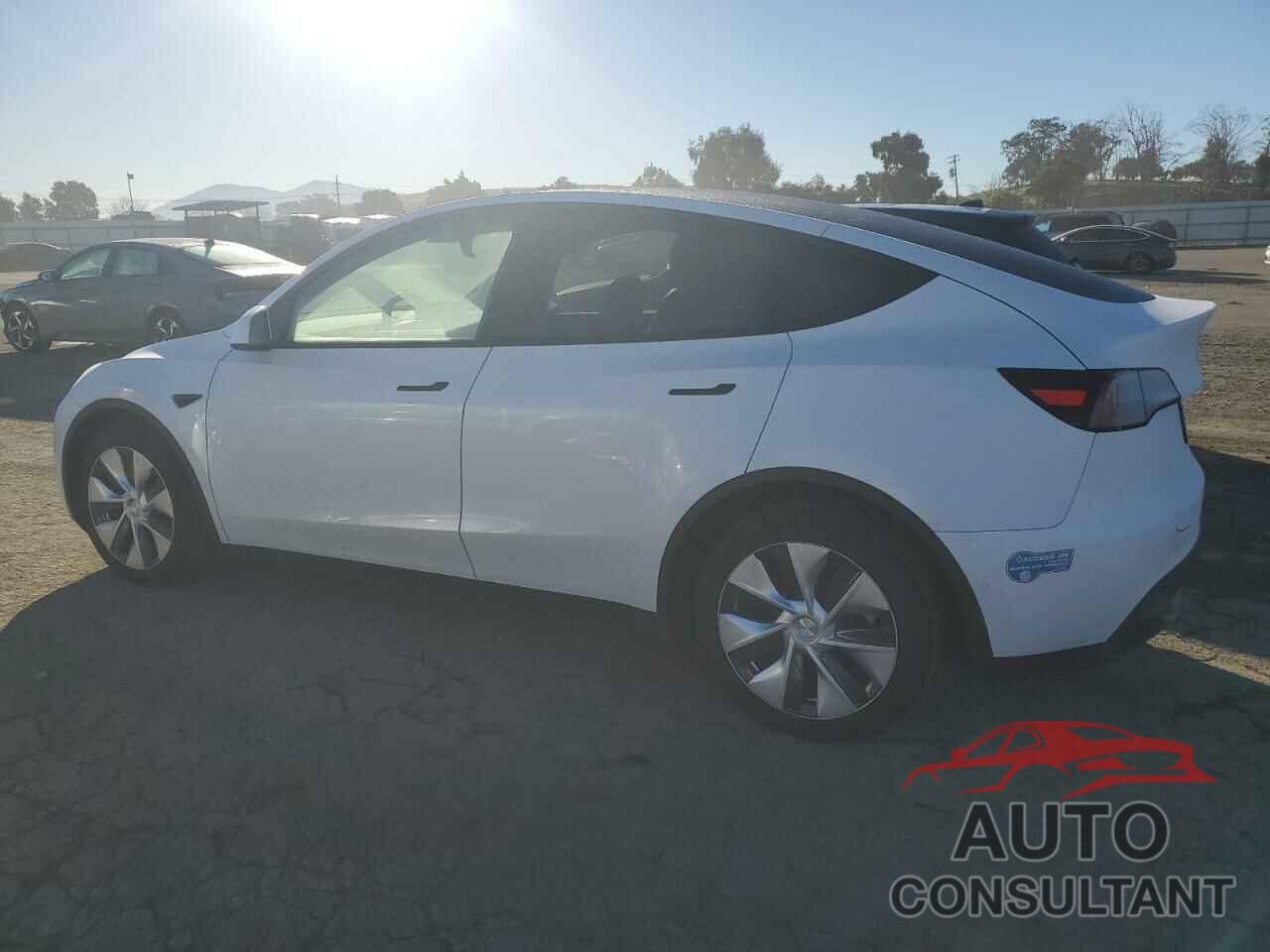 TESLA MODEL Y 2021 - 5YJYGDEE0MF207621