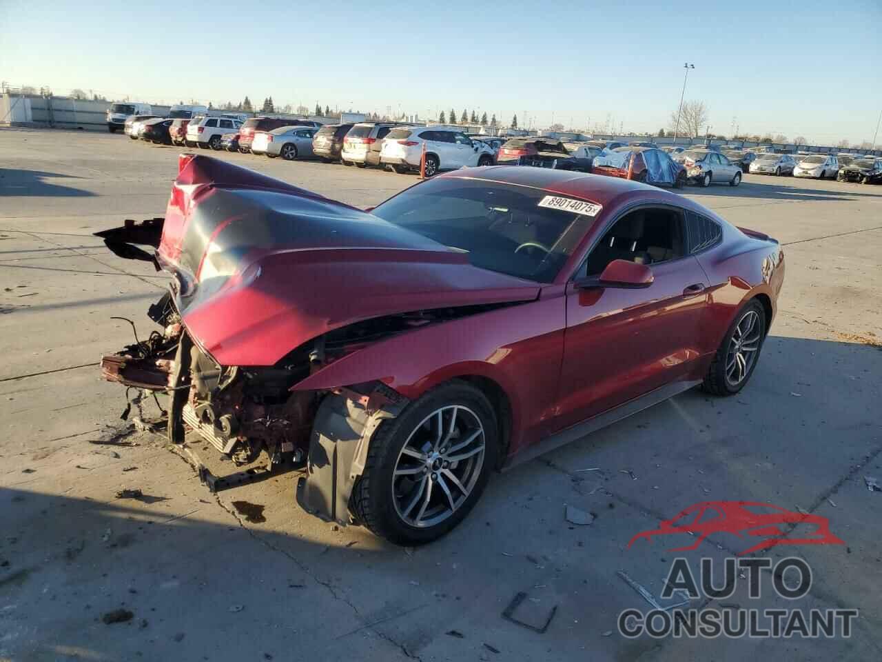 FORD ALL Models 2016 - 1FA6P8TH3G5237686