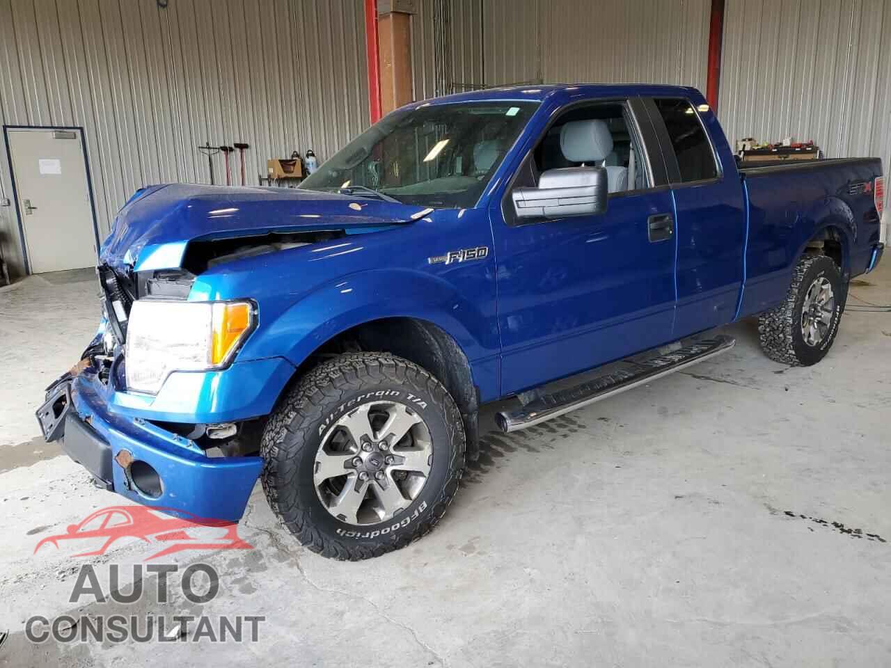 FORD F-150 2013 - 1FTFX1EFXDFD16100