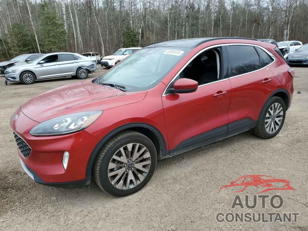 FORD ESCAPE 2021 - 1FMCU9J91MUA55215