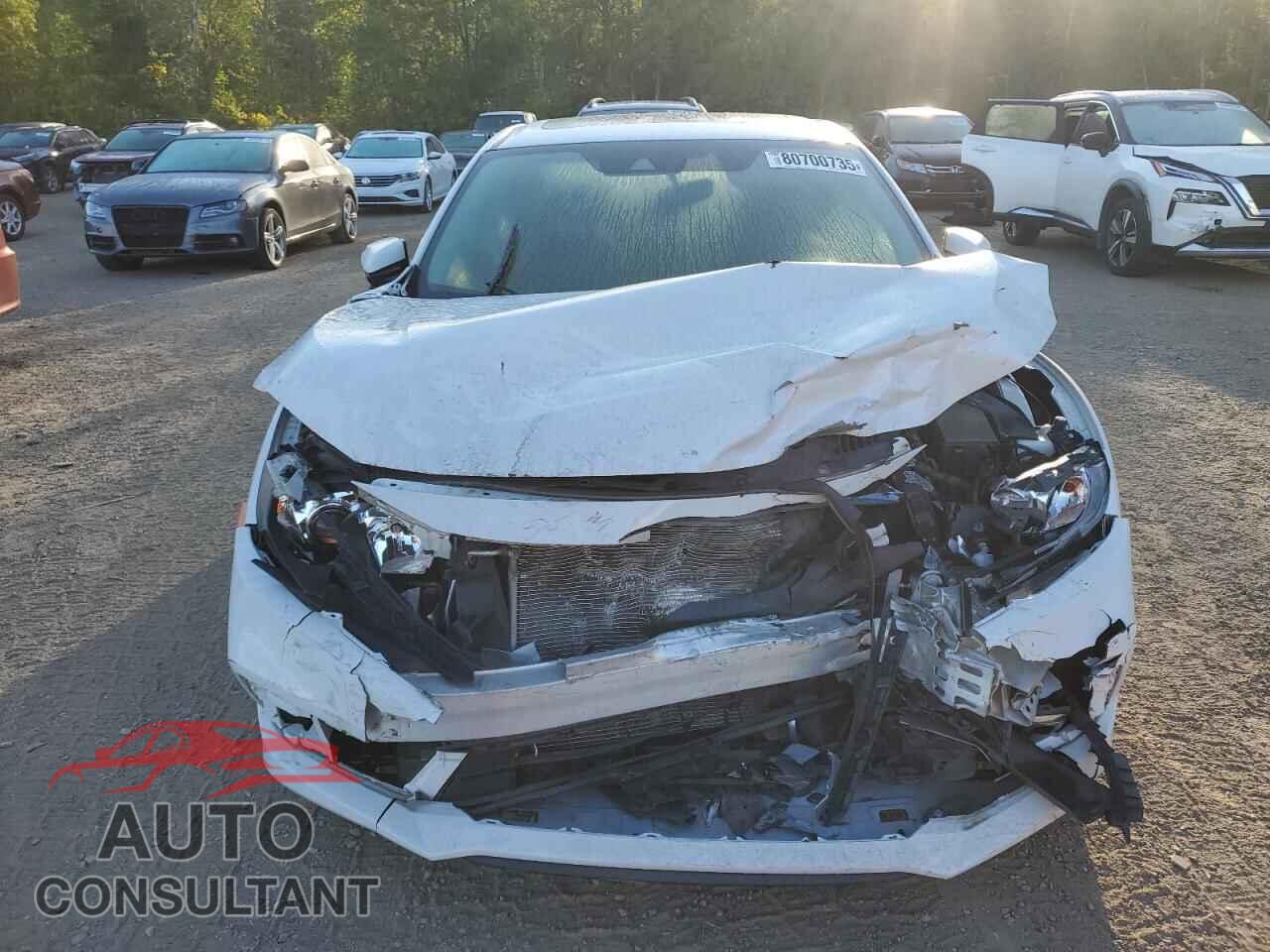 HONDA CIVIC 2019 - 2HGFC2F7XKH026607