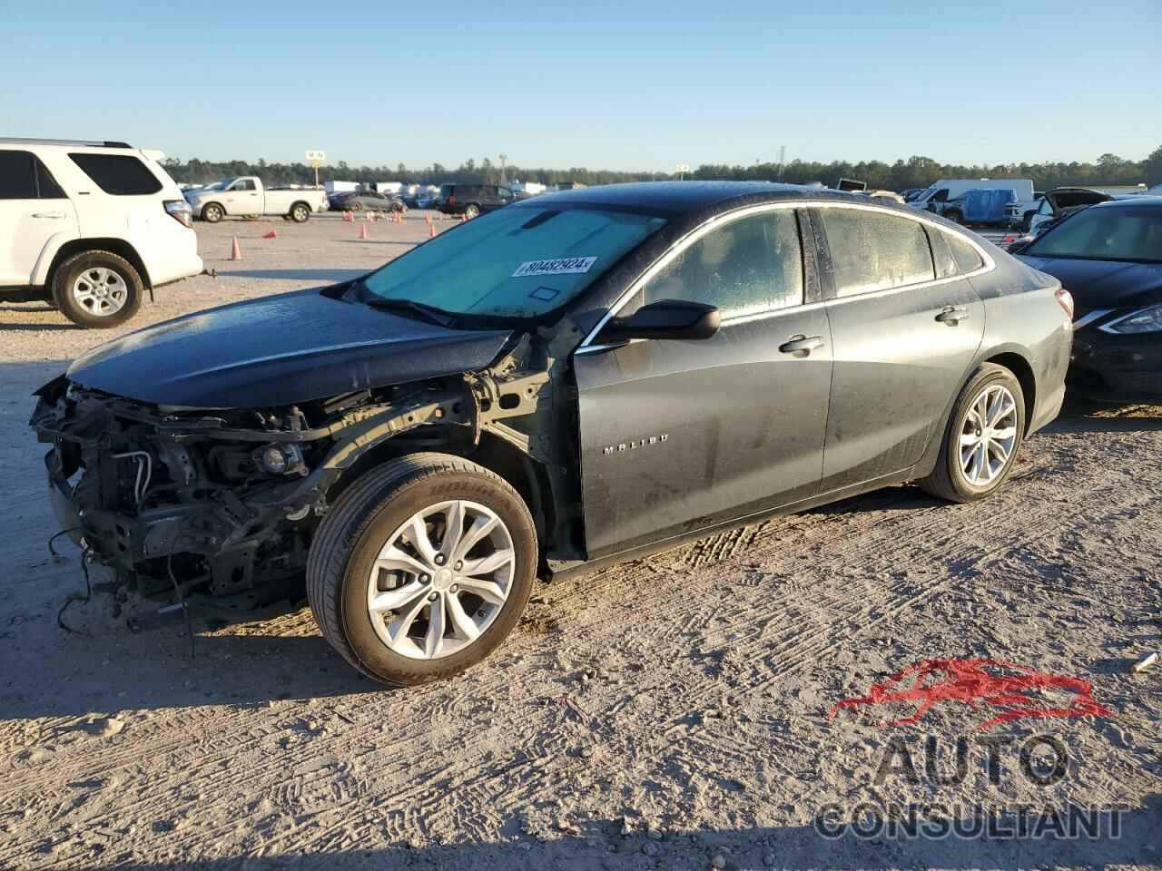 CHEVROLET MALIBU 2019 - 1G1ZD5ST6KF179248