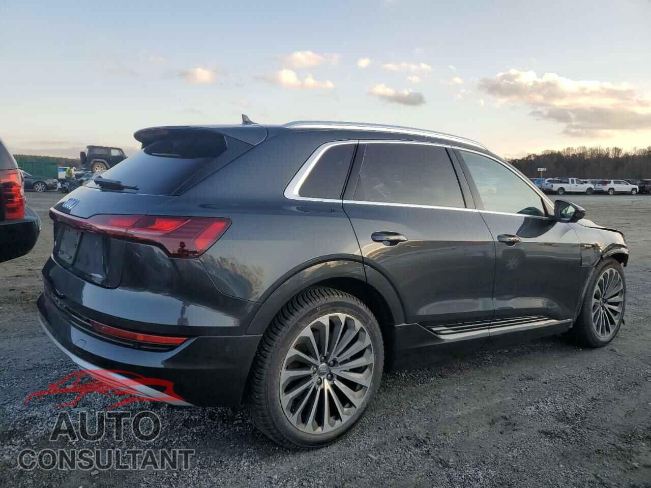 AUDI E-TRON 2019 - WA1VABGE4KB022164
