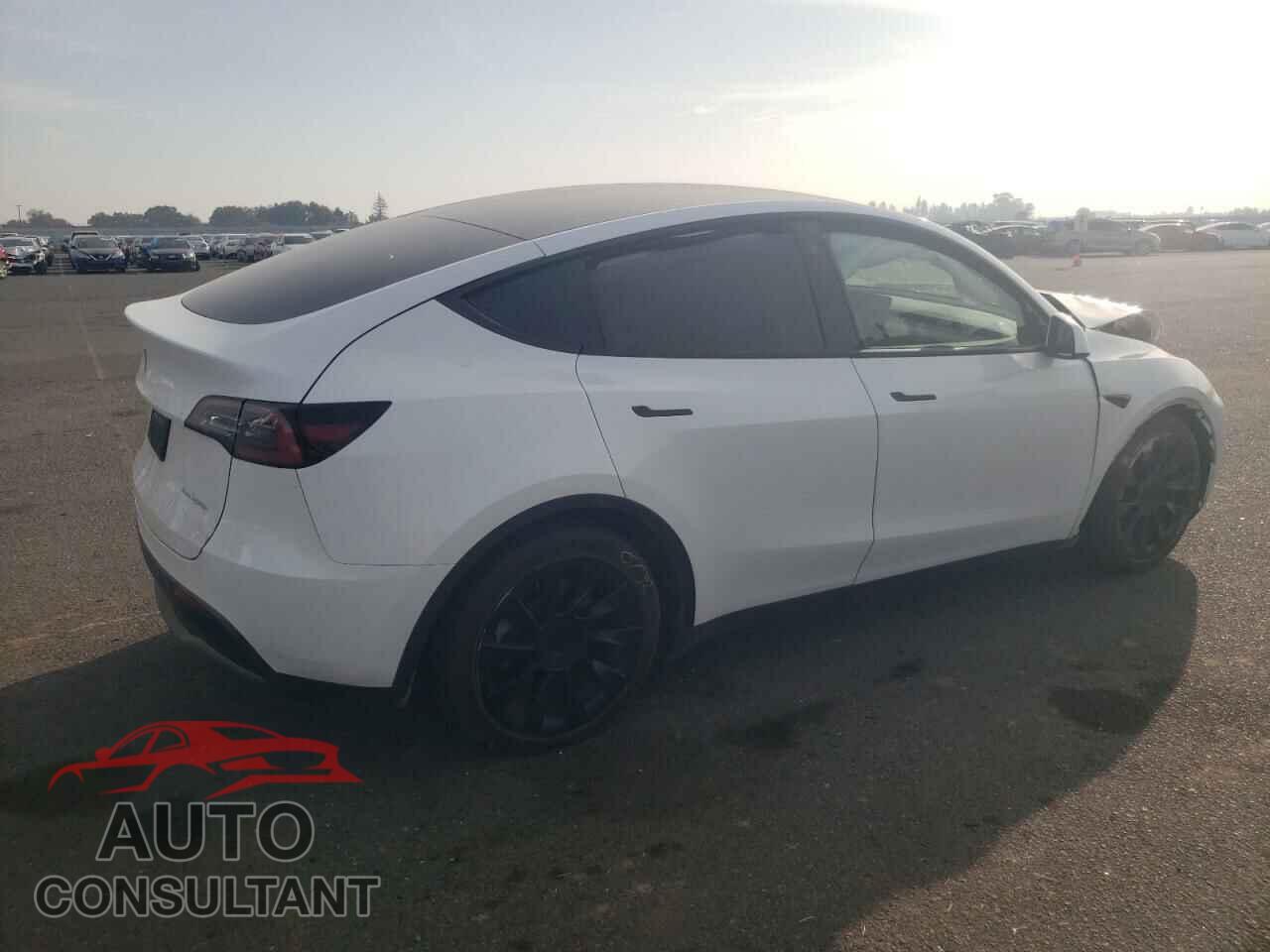 TESLA MODEL Y 2023 - 7SAYGDEE4PF589420