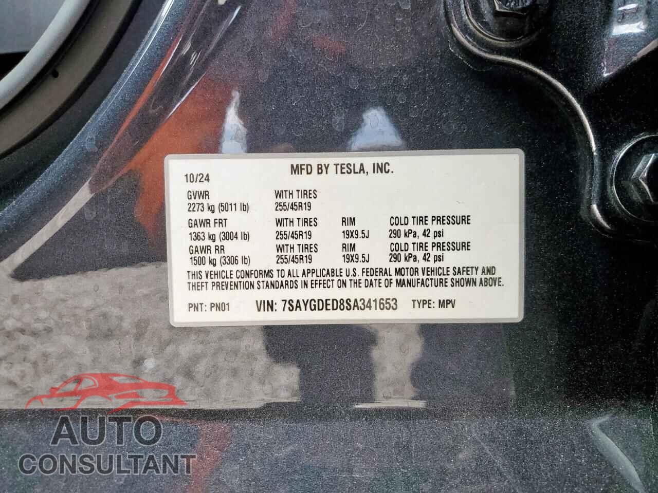 TESLA MODEL Y 2025 - 7SAYGDED8SA341653