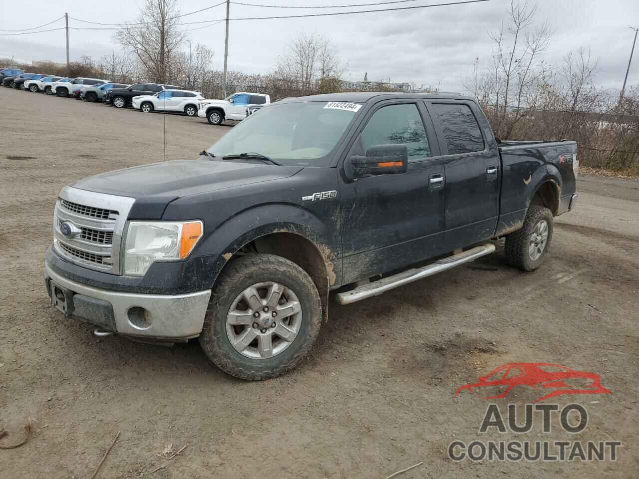 FORD F-150 2013 - 1FTFW1EF7DFD58243