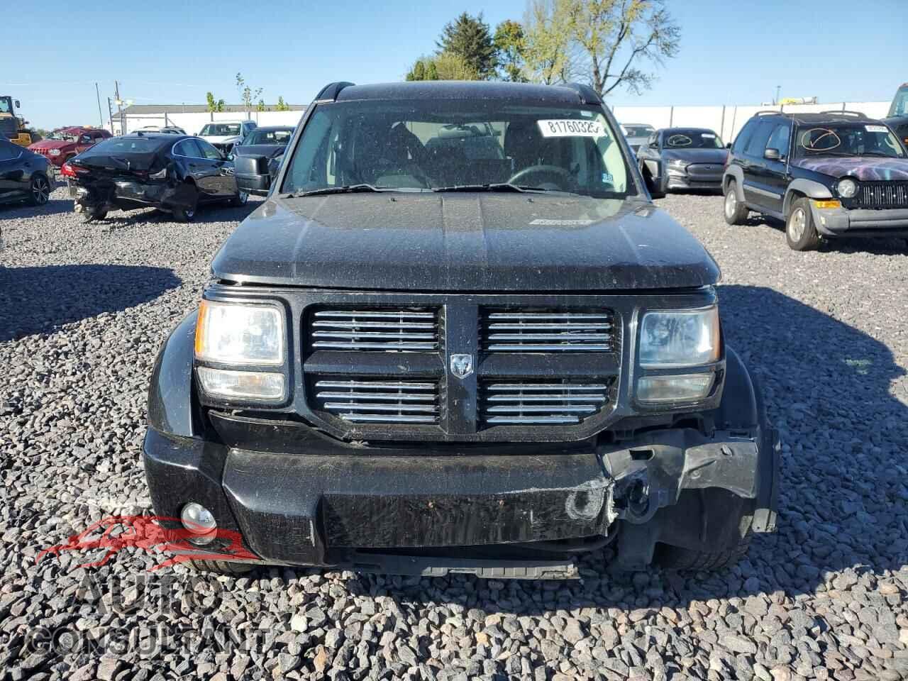 DODGE NITRO 2011 - 1D4PT4GK5BW602352