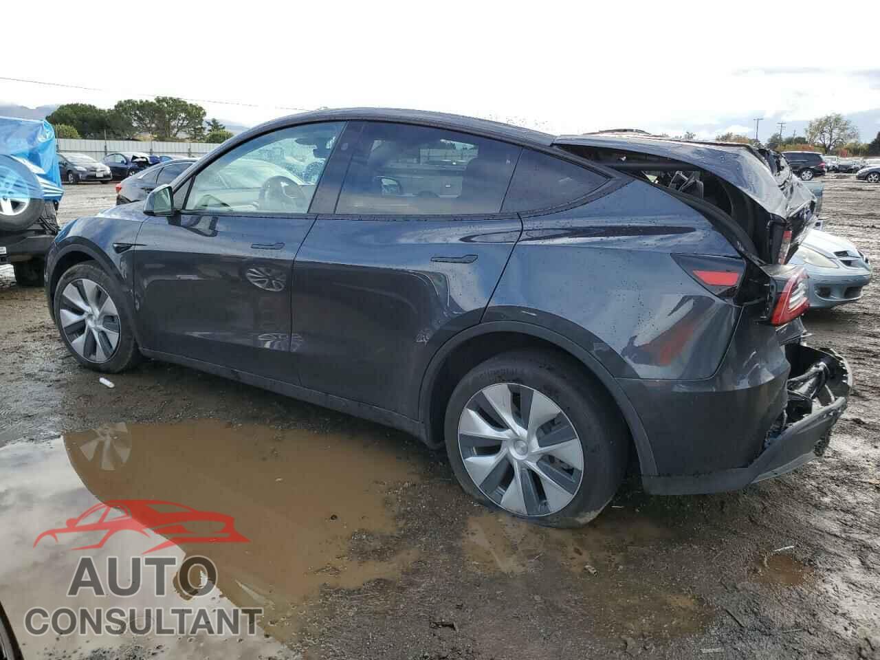 TESLA MODEL Y 2024 - 7SAYGAEE0RF023725