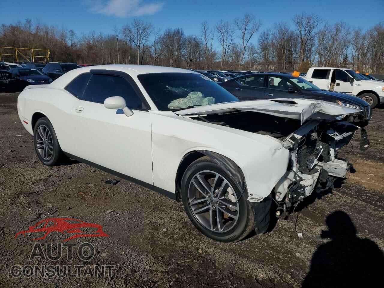 DODGE CHALLENGER 2019 - 2C3CDZGG9KH529491