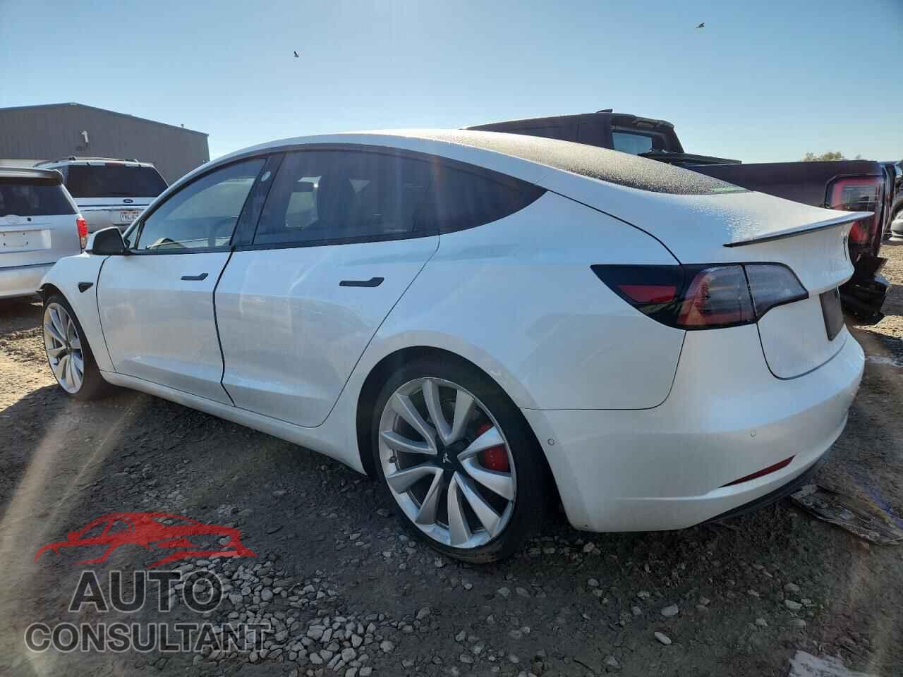 TESLA MODEL 3 2019 - 5YJ3E1EB3KF487116