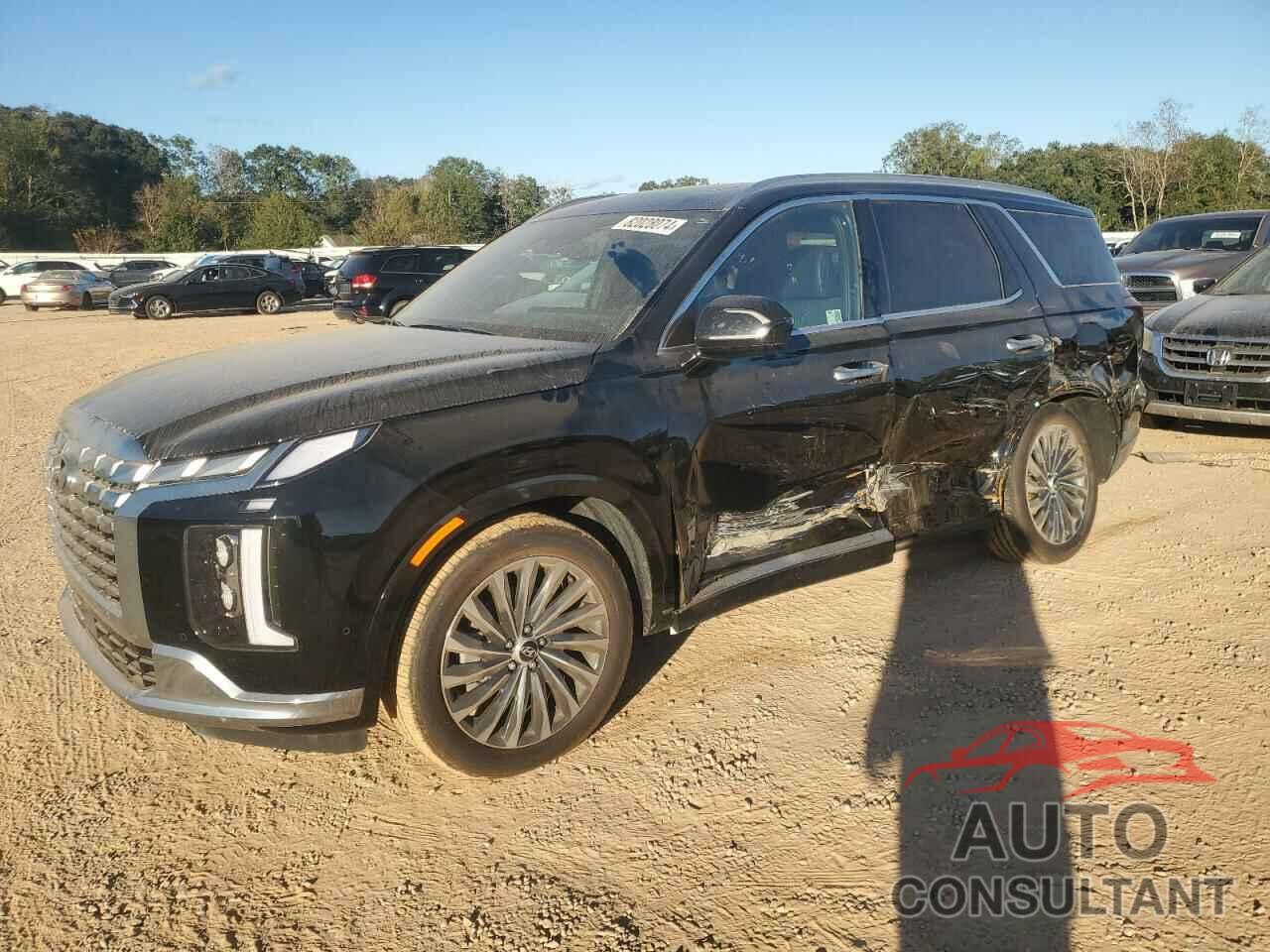 HYUNDAI PALISADE 2024 - KM8R74GE5RU769459