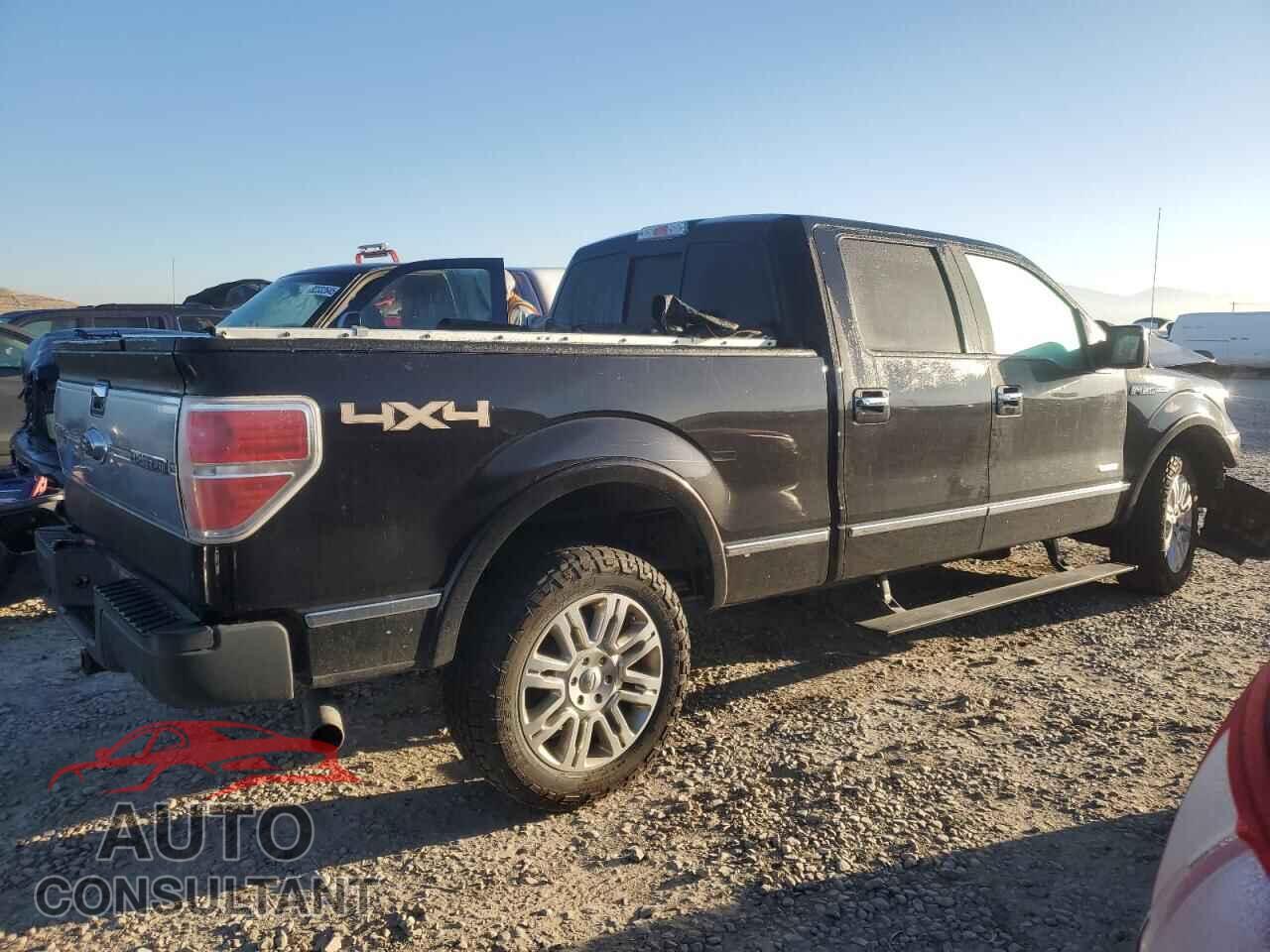 FORD F-150 2013 - 1FTFW1ET4DFC12419