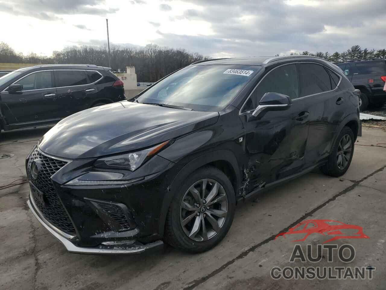 LEXUS NX 2019 - JTJYARBZ6K2145029