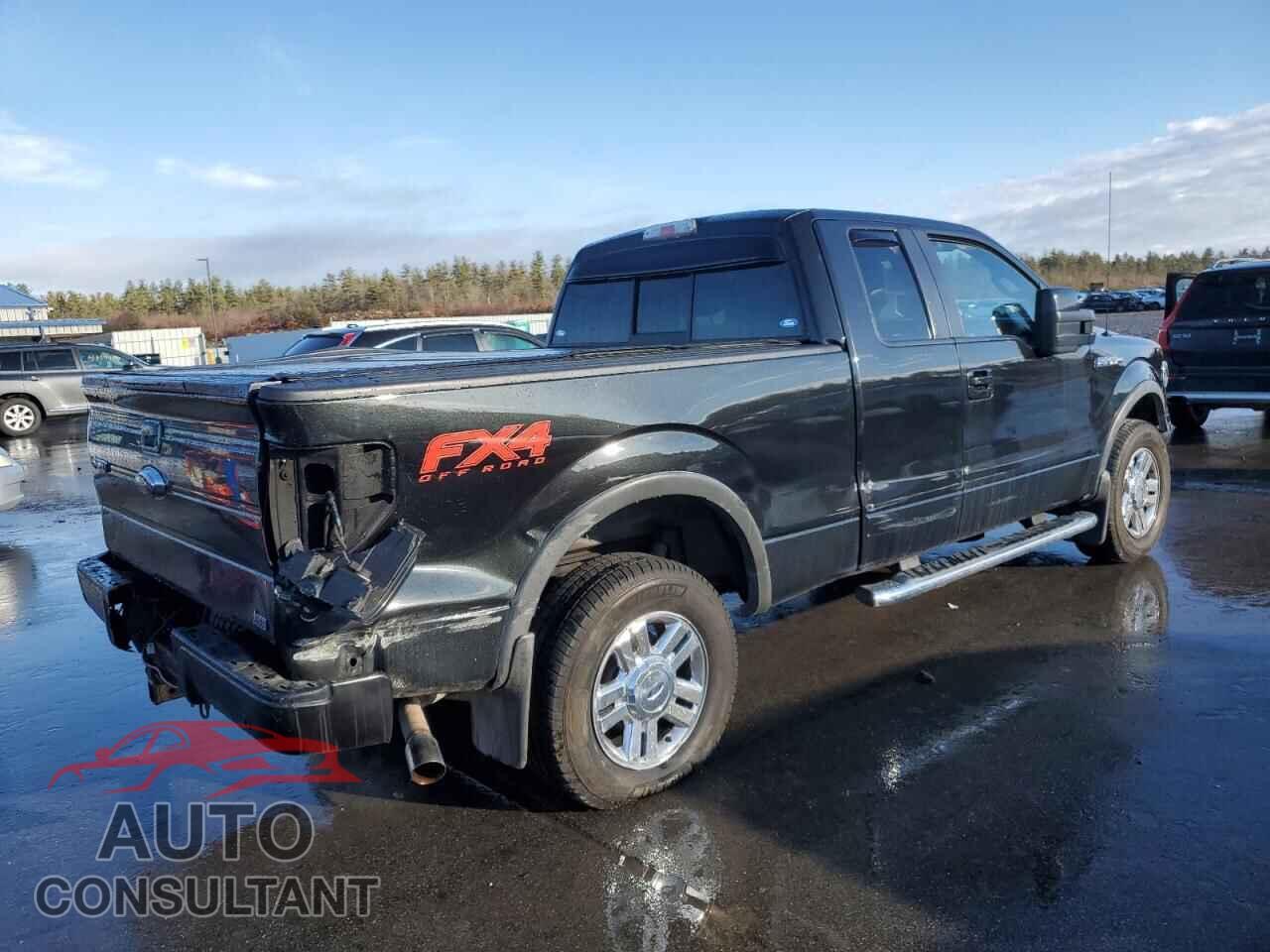FORD F-150 2010 - 1FTFX1EV2AFD06521