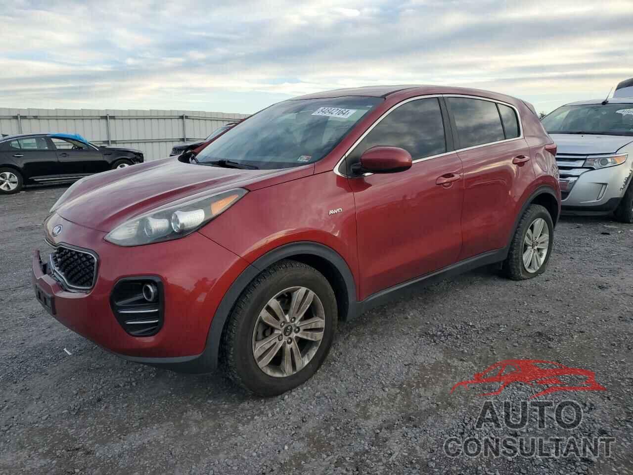 KIA SPORTAGE 2017 - KNDPMCAC6H7115332